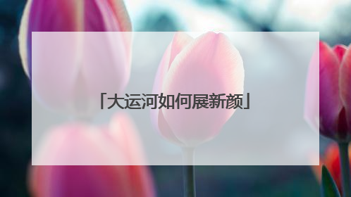 大运河如何展新颜