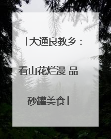 大通良教乡：看山花烂漫 品砂罐美食