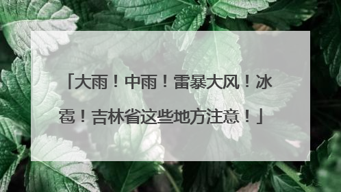 大雨！中雨！雷暴大风！冰雹！吉林省这些地方注意！