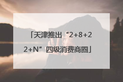 天津推出“2+8+22+N”四级消费商圈