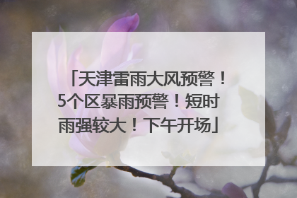 天津雷雨大风预警！5个区暴雨预警！短时雨强较大！下午开场