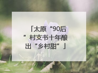 太原“90后”村支书十年酿出“乡村甜”