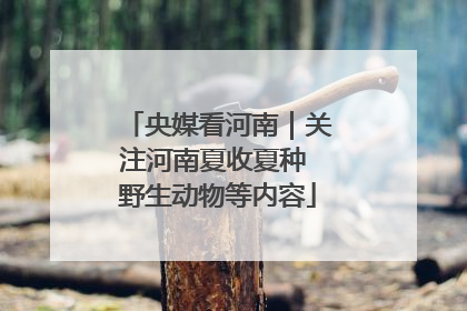 央媒看河南｜关注河南夏收夏种 野生动物等内容