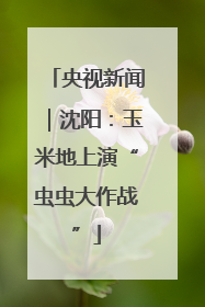 央视新闻｜沈阳：玉米地上演“虫虫大作战”