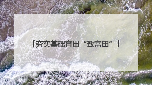 夯实基础育出“致富田”