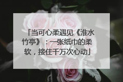 当可心柔遇见《淮水竹亭》：一张纸巾的柔软，接住千万次心动