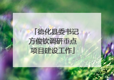 德化县委书记方俊钦调研重点项目建设工作