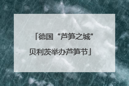 德国“芦笋之城”贝利茨举办芦笋节