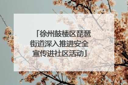 徐州鼓楼区琵琶街道深入推进安全宣传进社区活动