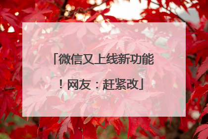 微信又上线新功能！网友：赶紧改