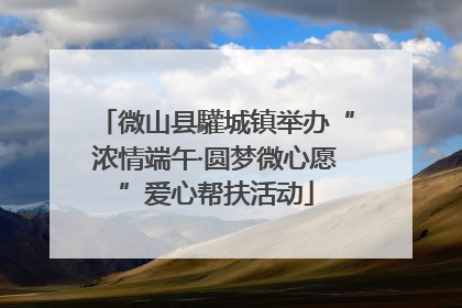微山县驩城镇举办“浓情端午·圆梦微心愿”爱心帮扶活动