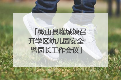 微山县驩城镇召开学区幼儿园安全暨园长工作会议