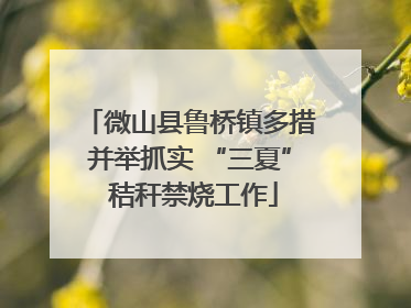 微山县鲁桥镇多措并举抓实 “三夏” 秸秆禁烧工作