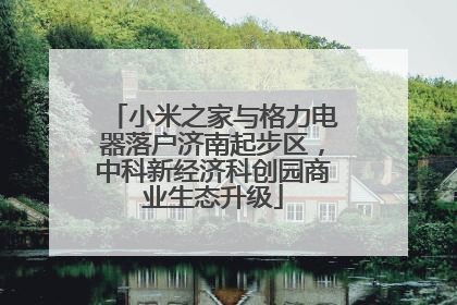 小米之家与格力电器落户济南起步区，中科新经济科创园商业生态升级