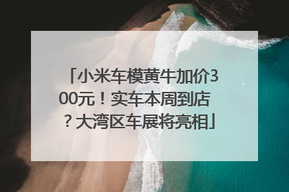 小米车模黄牛加价300元！实车本周到店？大湾区车展将亮相