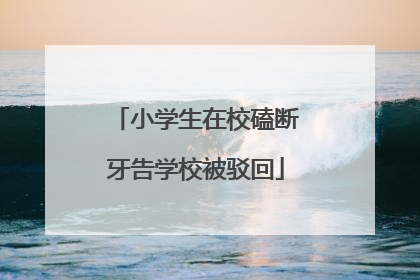 小学生在校磕断牙告学校被驳回