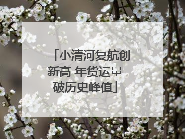 小清河复航创新高 年货运量破历史峰值