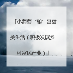 小葡萄“酿”出甜美生活（积极发展乡村富民产业）