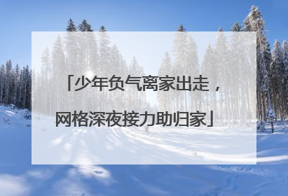少年负气离家出走，网格深夜接力助归家