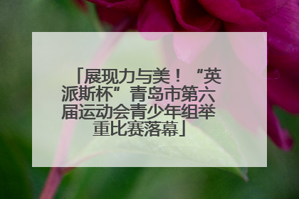 展现力与美！“英派斯杯”青岛市第六届运动会青少年组举重比赛落幕