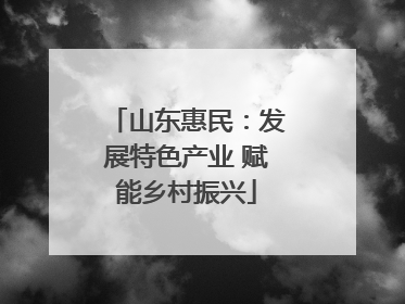 山东惠民：发展特色产业 赋能乡村振兴