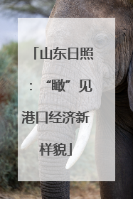 山东日照：“瞰”见港口经济新样貌