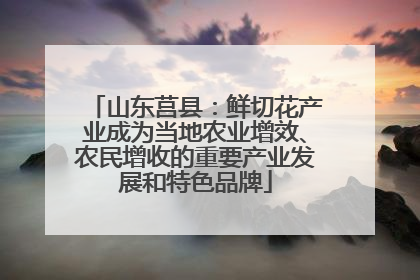 山东莒县：鲜切花产业成为当地农业增效、农民增收的重要产业发展和特色品牌