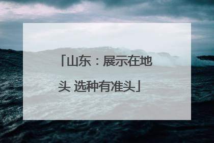山东：展示在地头 选种有准头
