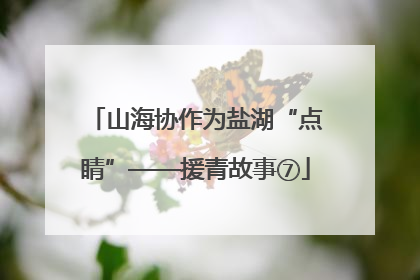 山海协作为盐湖“点睛”——援青故事⑦