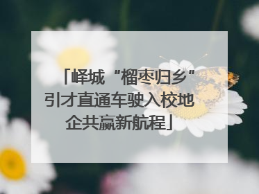 峄城“榴枣归乡”引才直通车驶入校地企共赢新航程