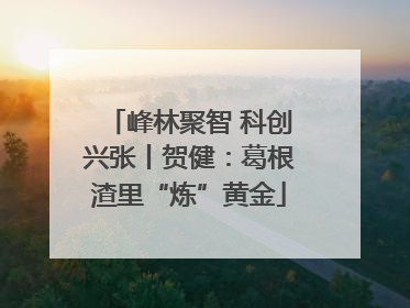 峰林聚智 科创兴张丨贺健：葛根渣里“炼”黄金