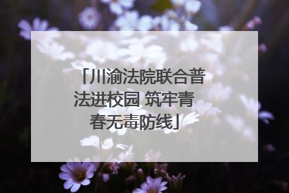 川渝法院联合普法进校园 筑牢青春无毒防线