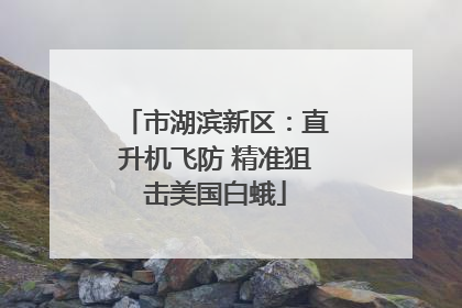 市湖滨新区：直升机飞防 精准狙击美国白蛾