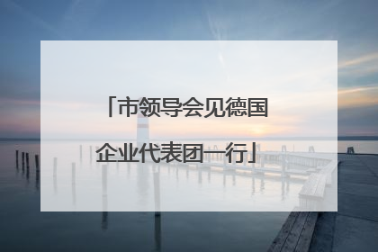 市领导会见德国企业代表团一行