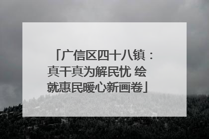 广信区四十八镇：真干真为解民忧 绘就惠民暖心新画卷
