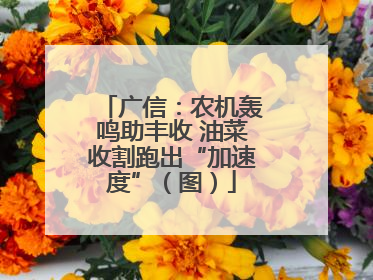 广信：农机轰鸣助丰收 油菜收割跑出“加速度”（图）