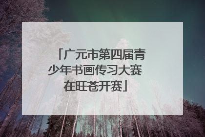 广元市第四届青少年书画传习大赛在旺苍开赛