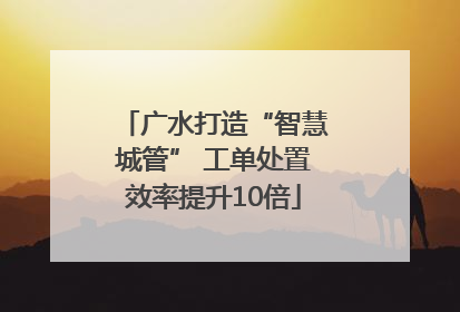 广水打造“智慧城管” 工单处置效率提升10倍