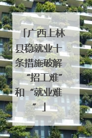 广西上林县稳就业十条措施破解“招工难”和“就业难”