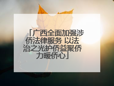 广西全面加强涉侨法律服务 以法治之光护侨益聚侨力暖侨心