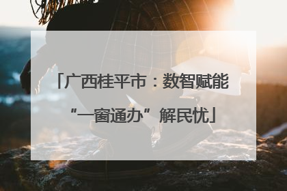 广西桂平市：数智赋能“一窗通办”解民忧