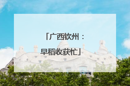 广西钦州：早稻收获忙