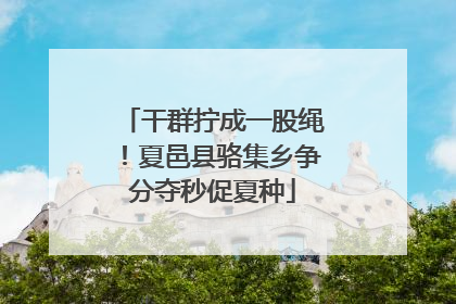 干群拧成一股绳！夏邑县骆集乡争分夺秒促夏种