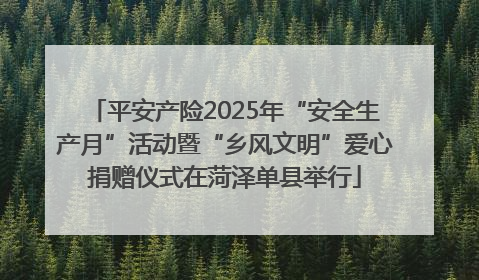 平安产险2025年“安全生产月”活动暨“乡风文明”爱心捐赠仪式在菏泽单县举行