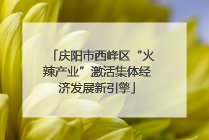 庆阳市西峰区“火辣产业”激活集体经济发展新引擎
