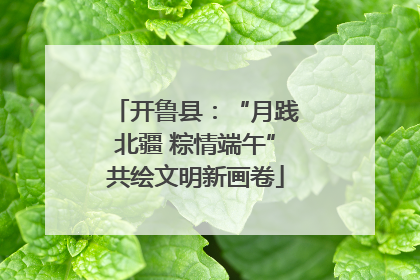 开鲁县：“月践北疆 粽情端午”共绘文明新画卷