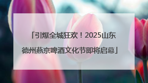 引爆全城狂欢！2025山东德州燕京啤酒文化节即将启幕