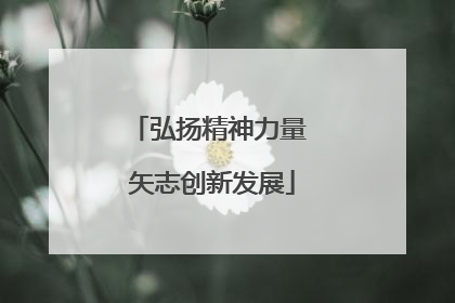 弘扬精神力量 矢志创新发展