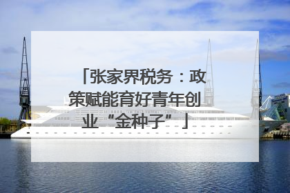 张家界税务：政策赋能育好青年创业“金种子”