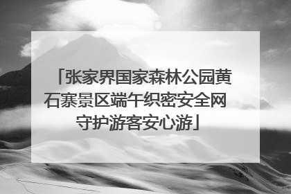 张家界国家森林公园黄石寨景区端午织密安全网 守护游客安心游